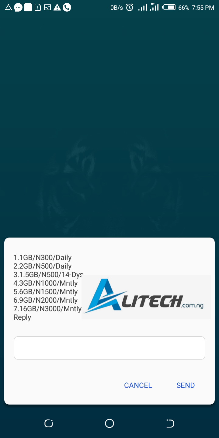 Airtel double Data