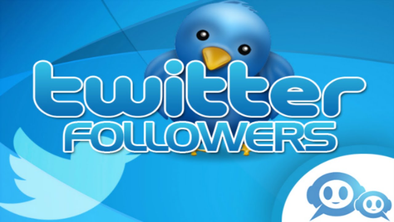 twitter followers