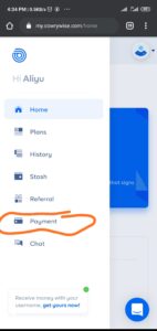 Cowrywise payment menu