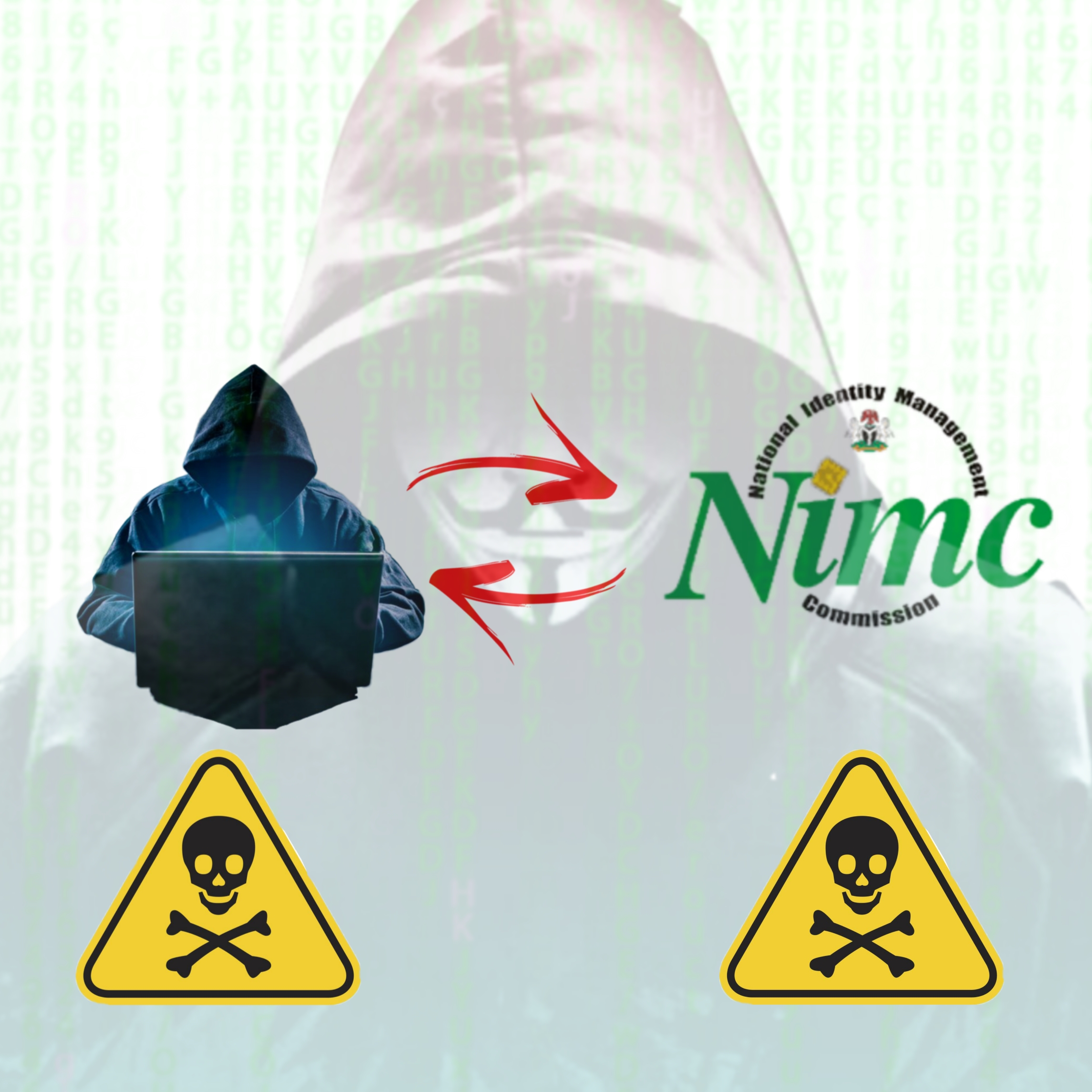 NiN code