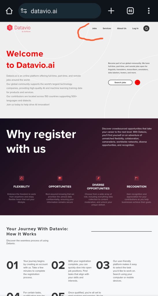 What Types Of Jobs Can You Find On Datavio